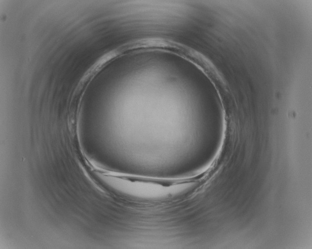 X0000083041225200702231921