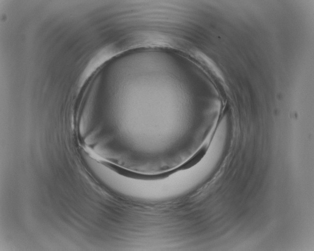 X0000083041226200702231921