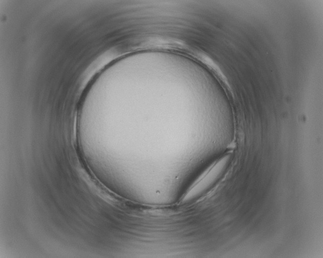 X0000083041227200702231921