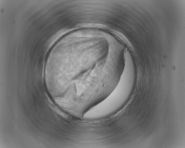 X0000083041228200702231921