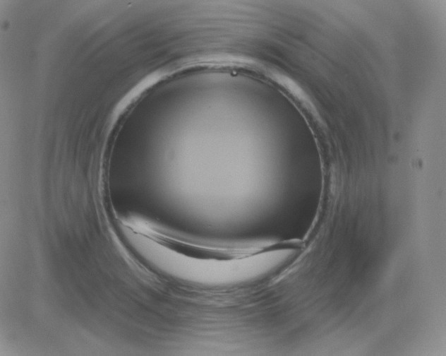 X0000083041229200702231921