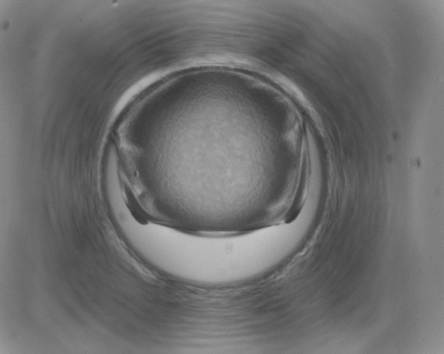 X0000083041230200702231921