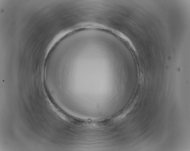 X0000083041231200702231921