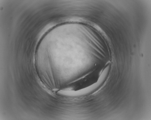 X0000083041232200702231921