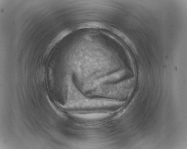 X0000083041233200702231921