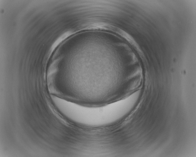 X0000083041234200702231921