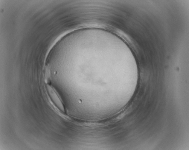 X0000083041236200702231921