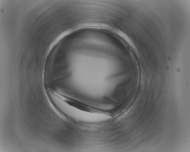 X0000083041237200702231921