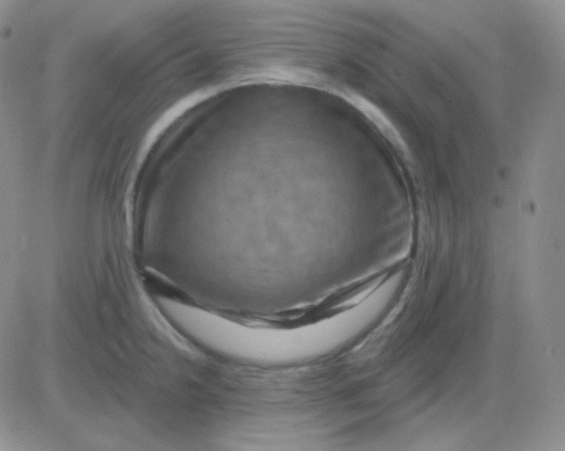 X0000083041238200702231921