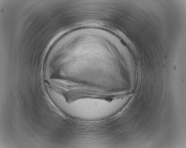 X0000083041240200702231921