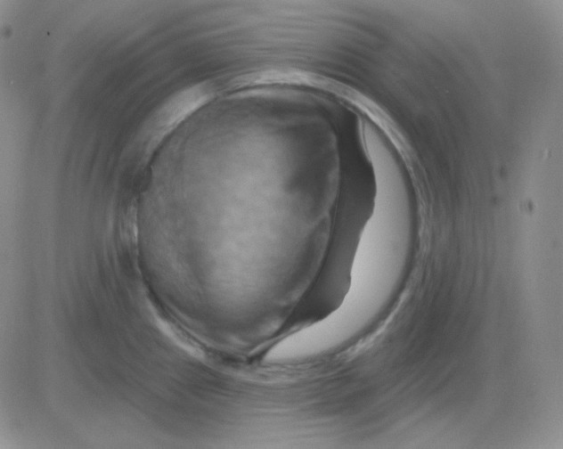 X0000083041241200702231921