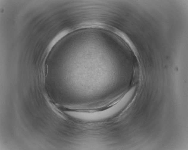 X0000083041242200702231921