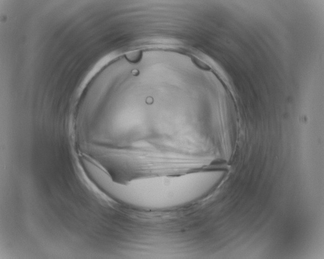 X0000083041243200702231921