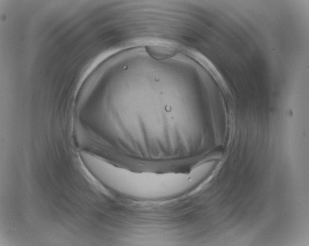 X0000083041244200702231921