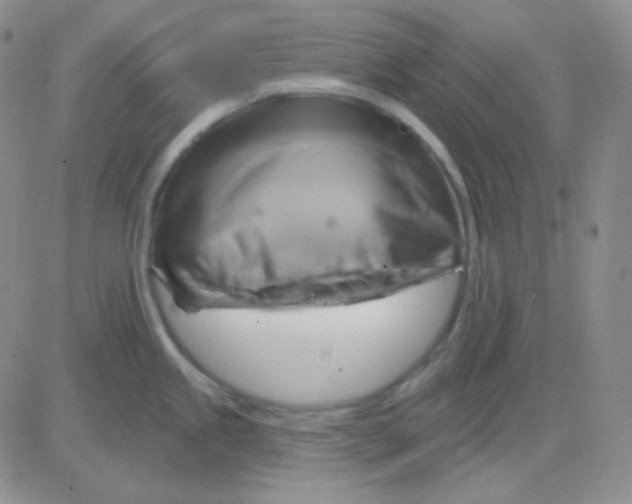 X0000083041245200702231921