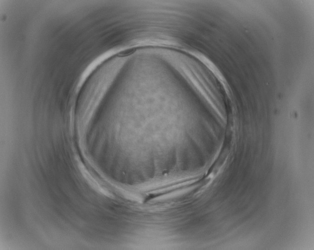 X0000083041246200702231921