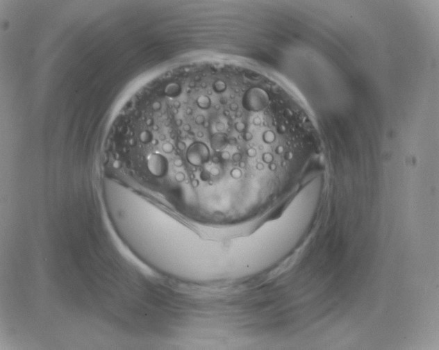 X0000083041247200702231921