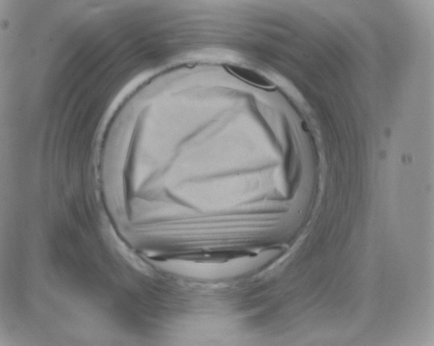 X0000083041248200702231922