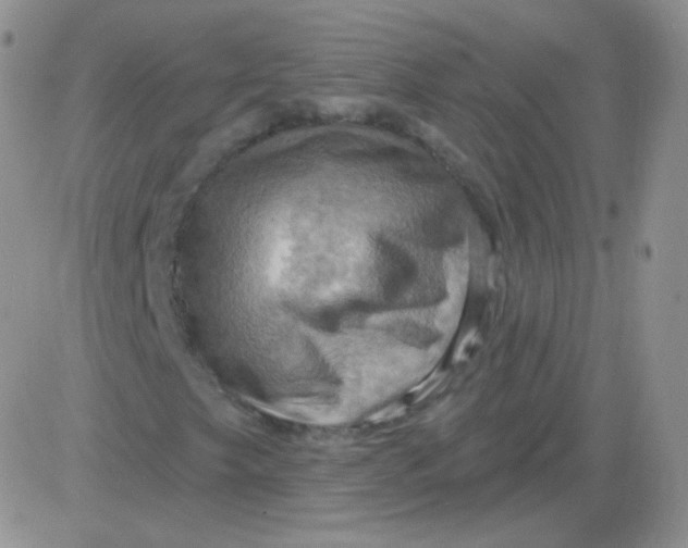 X0000083041249200702231921