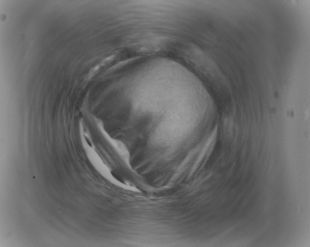 X0000083041250200702231921