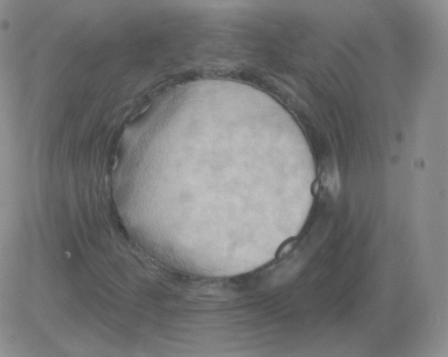 X0000083041252200702231921