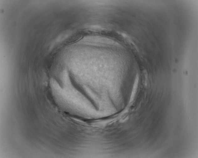 X0000083041253200702231921