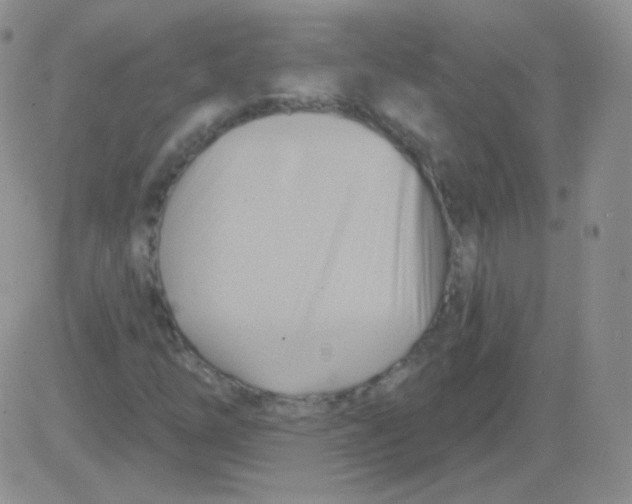 X0000083041254200702231921