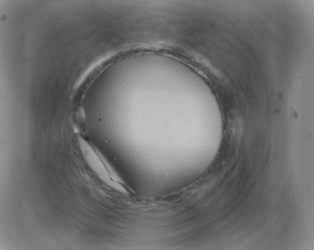 X0000083041256200702231921