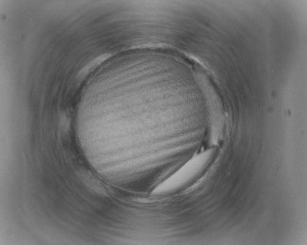 X0000083041257200702231921