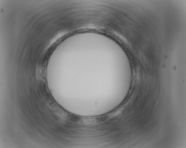 X0000083041258200702231921