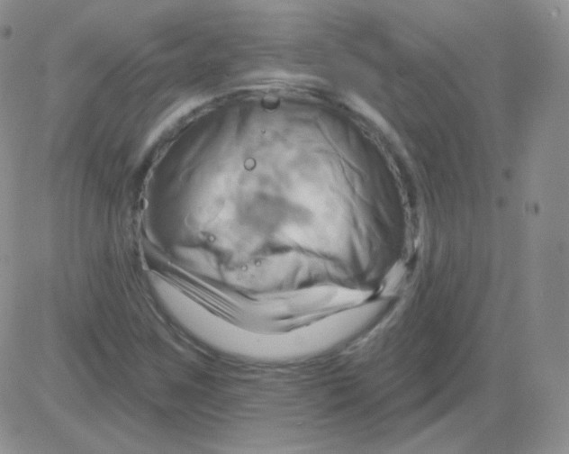 X0000083041259200702231921