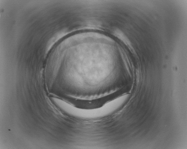 X0000083041260200702231921