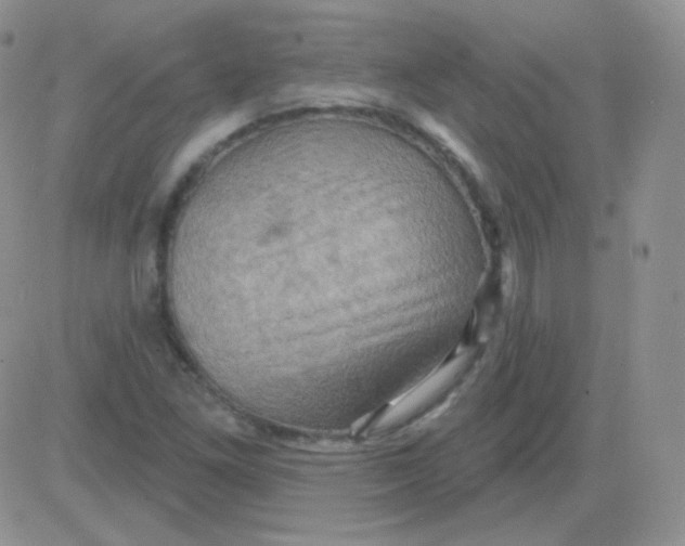 X0000083041261200702231920