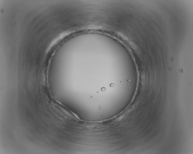 X0000083041262200702231920