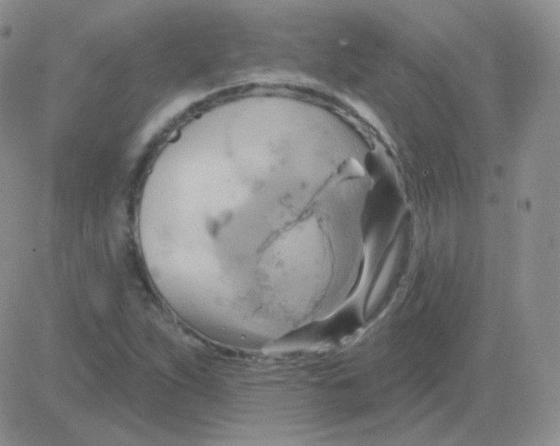 X0000083041263200702231920