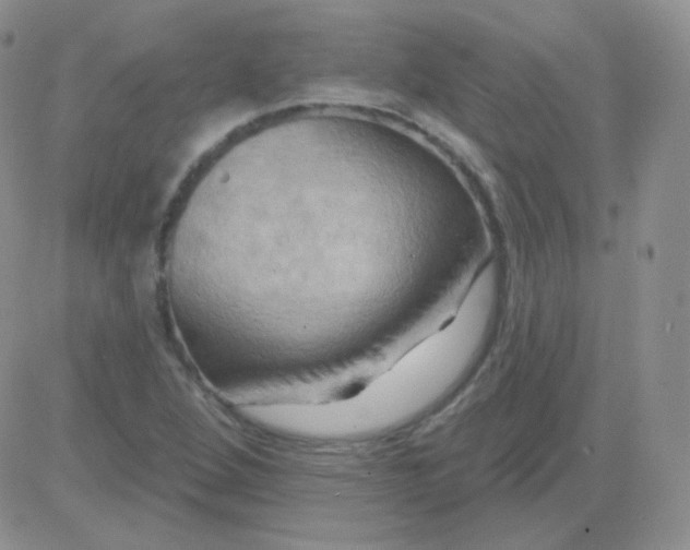 X0000083041264200702231920