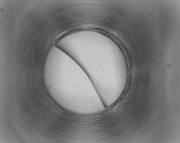 X0000083041265200702231920