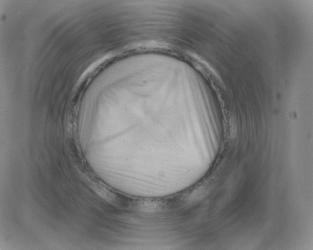 X0000083041266200702231920