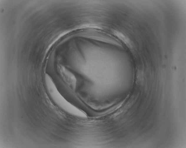 X0000083041268200702231920