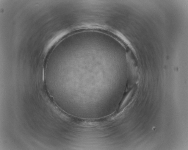 X0000083041269200702231920