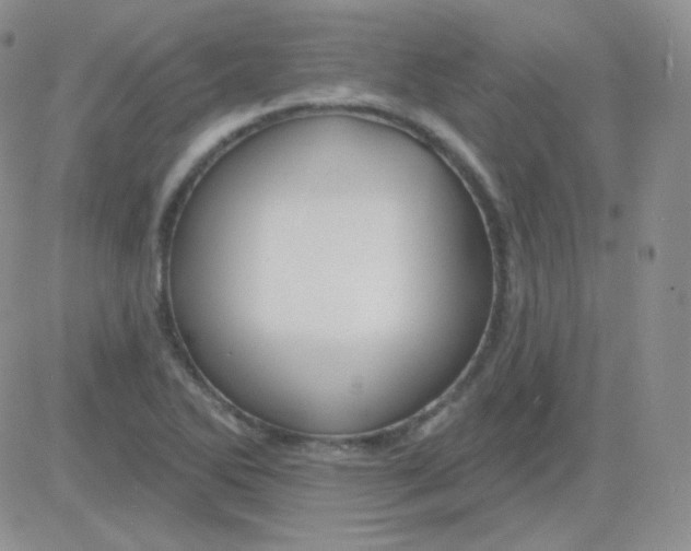 X0000083041270200702231920