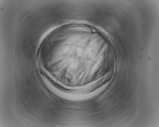 X0000083041271200702231920