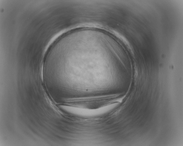 X0000083041272200702231920