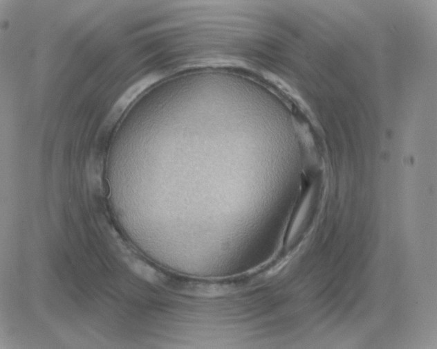 X0000083041273200702231920