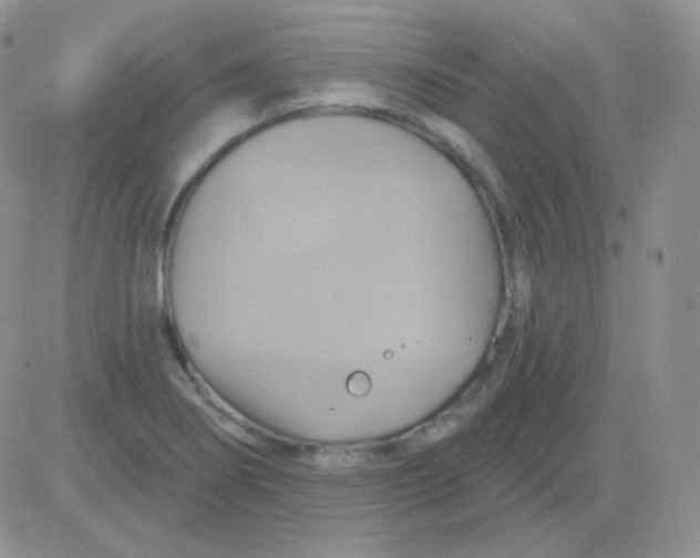 X0000083041274200702231920