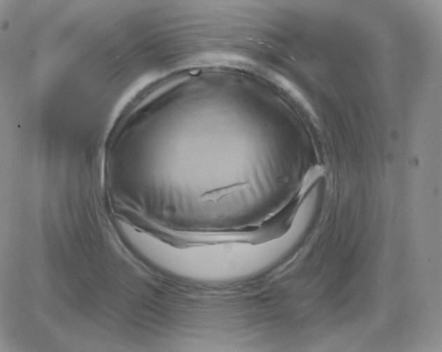 X0000083041275200702231920