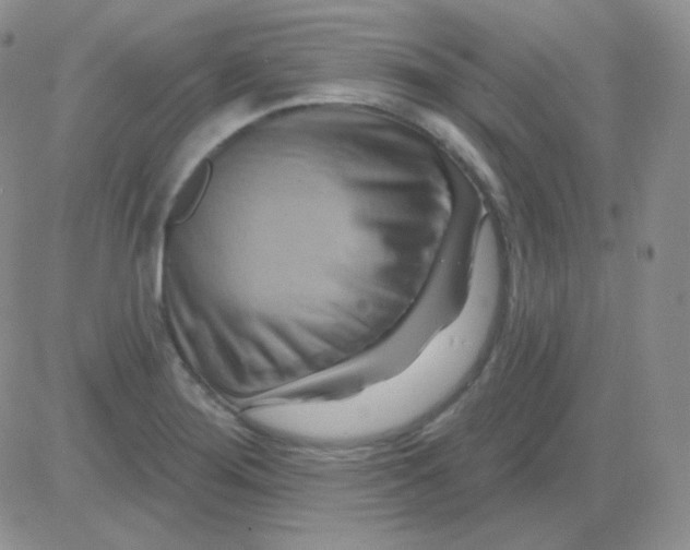 X0000083041276200702231920