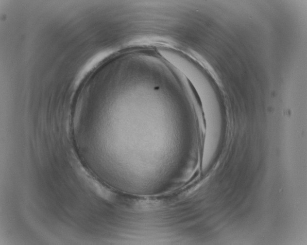 X0000083041277200702231920