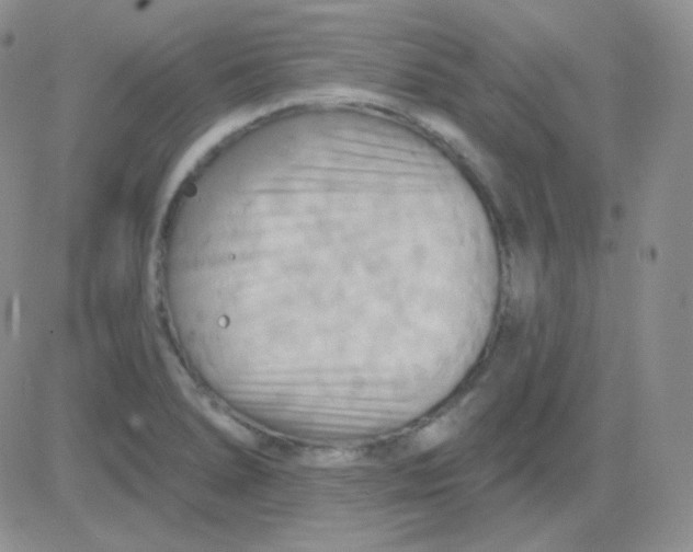 X0000083041278200702231920