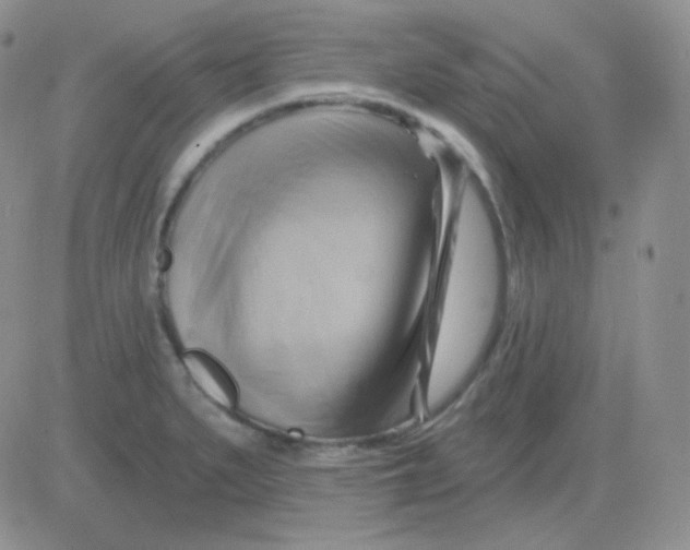 X0000083041279200702231920